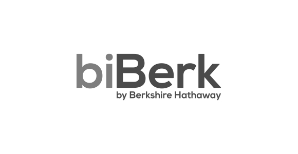 Gray biBerk logo