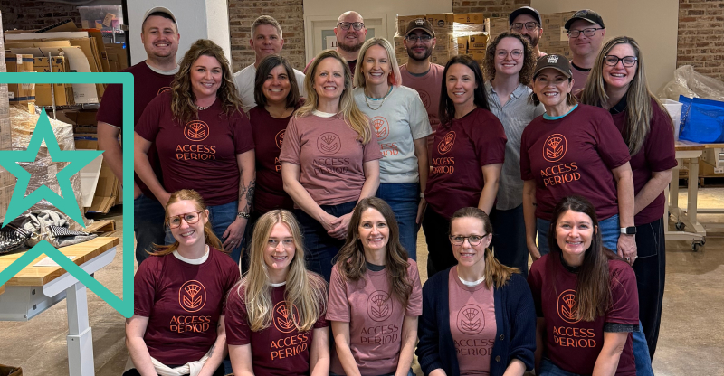 Group of Ervin & Smith employees posing for a group photo. There are three rows of people in an Access Period tees.